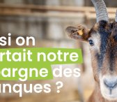 Et si on sortait notre épargne des banques ? Conférence avec Aline Fares